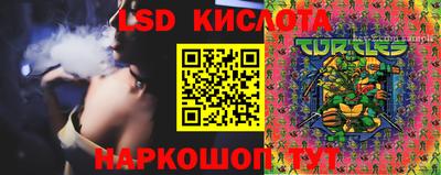 сатива Донской