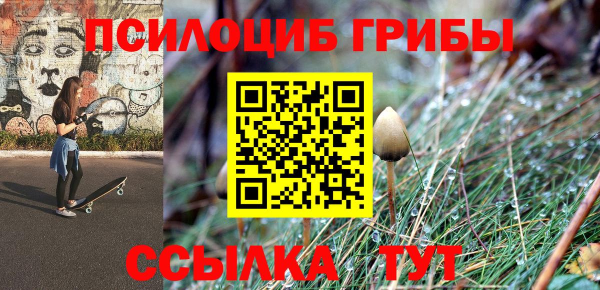 Псилоцибиновые грибы прущие грибы  Вход с VPN  Тюмень 